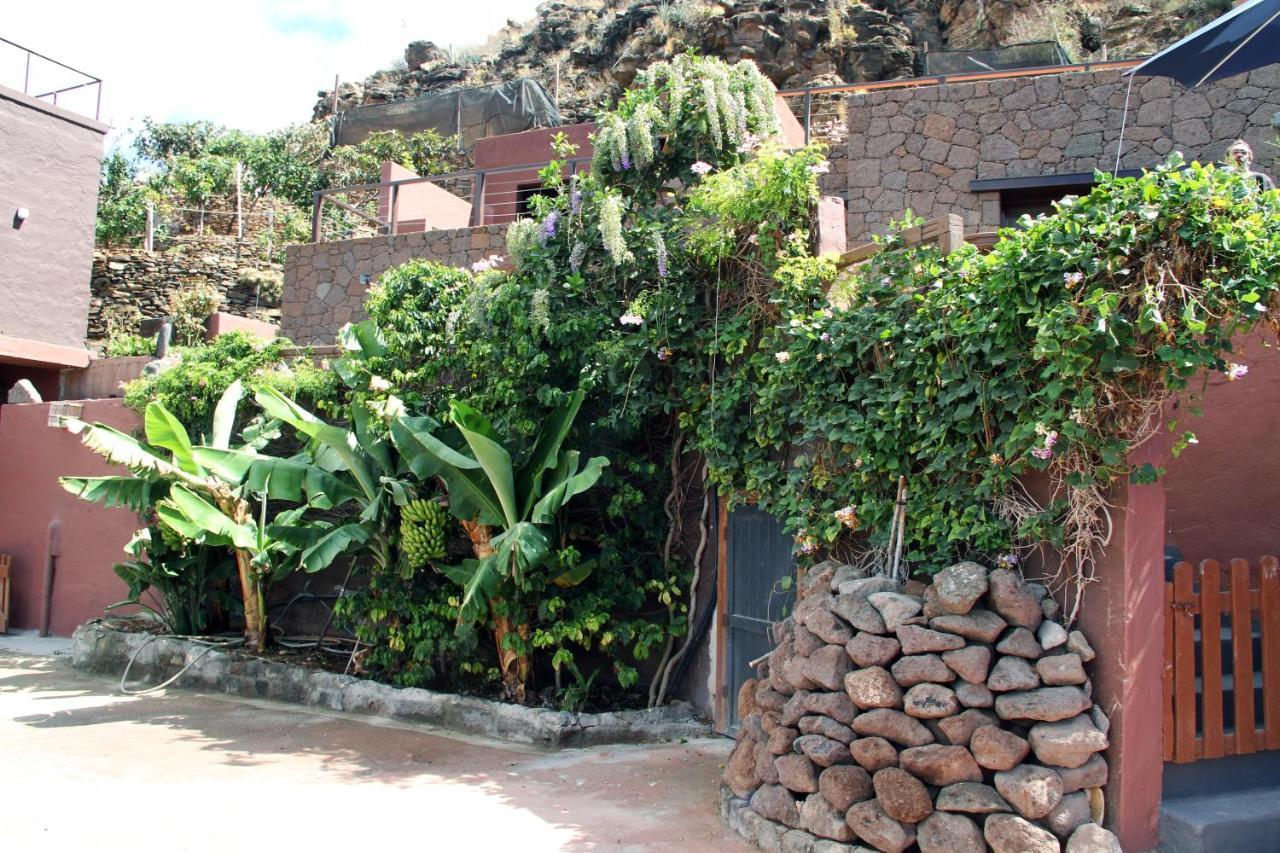 Tonono'S Village Santa Maria de Guia de Gran Canaria Luaran gambar