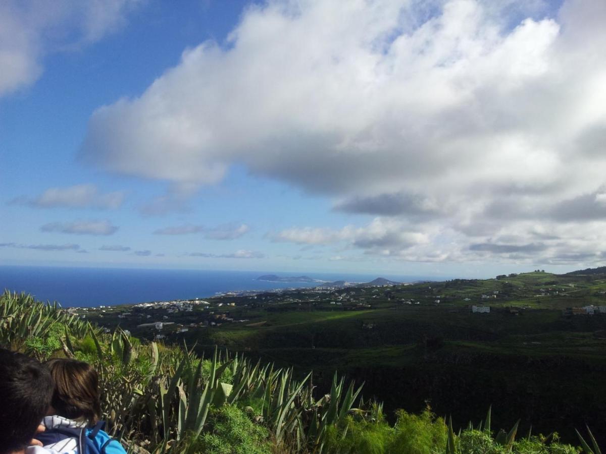 Tonono'S Village Santa Maria de Guia de Gran Canaria Luaran gambar