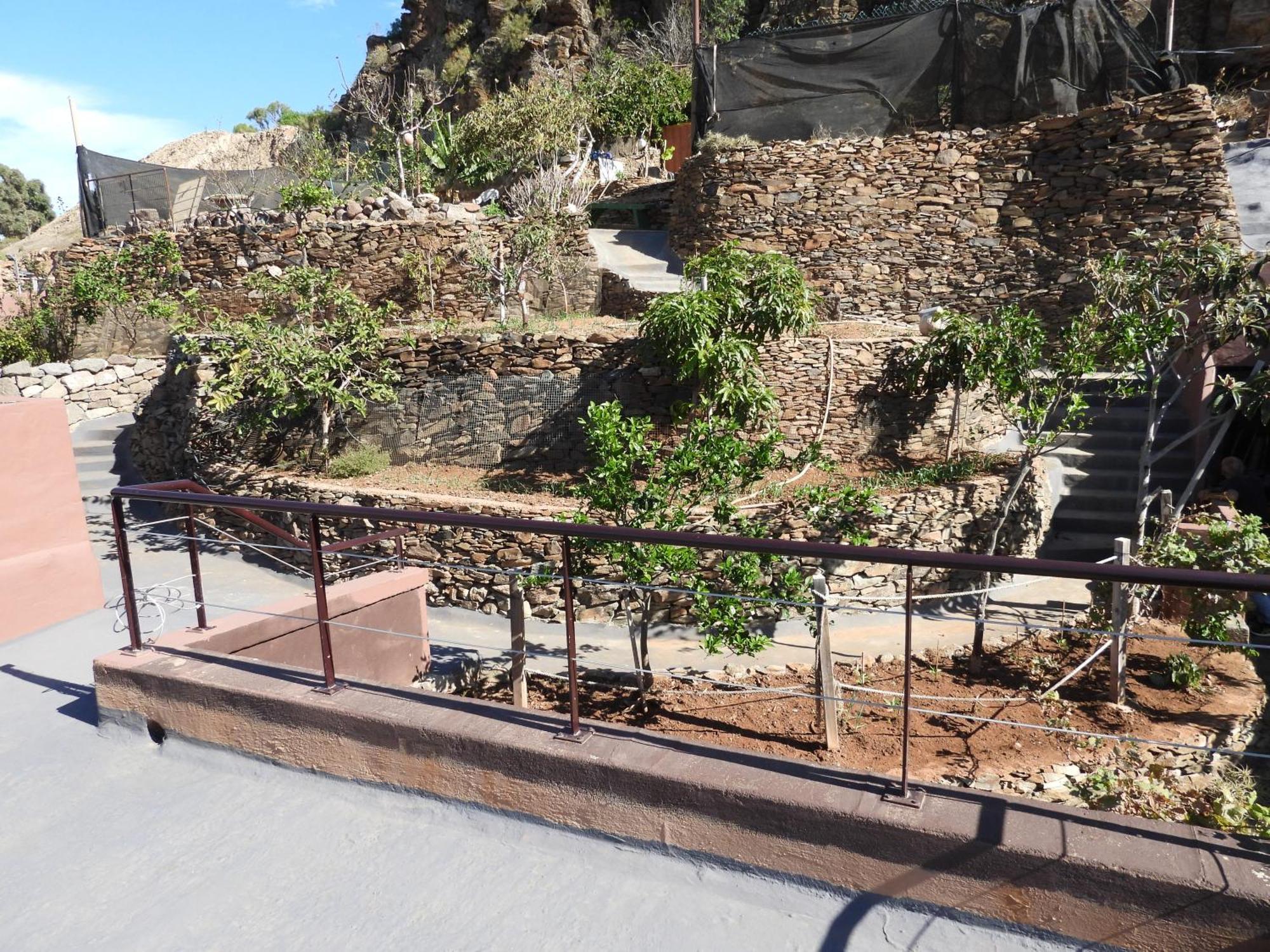 Tonono'S Village Santa Maria de Guia de Gran Canaria Luaran gambar